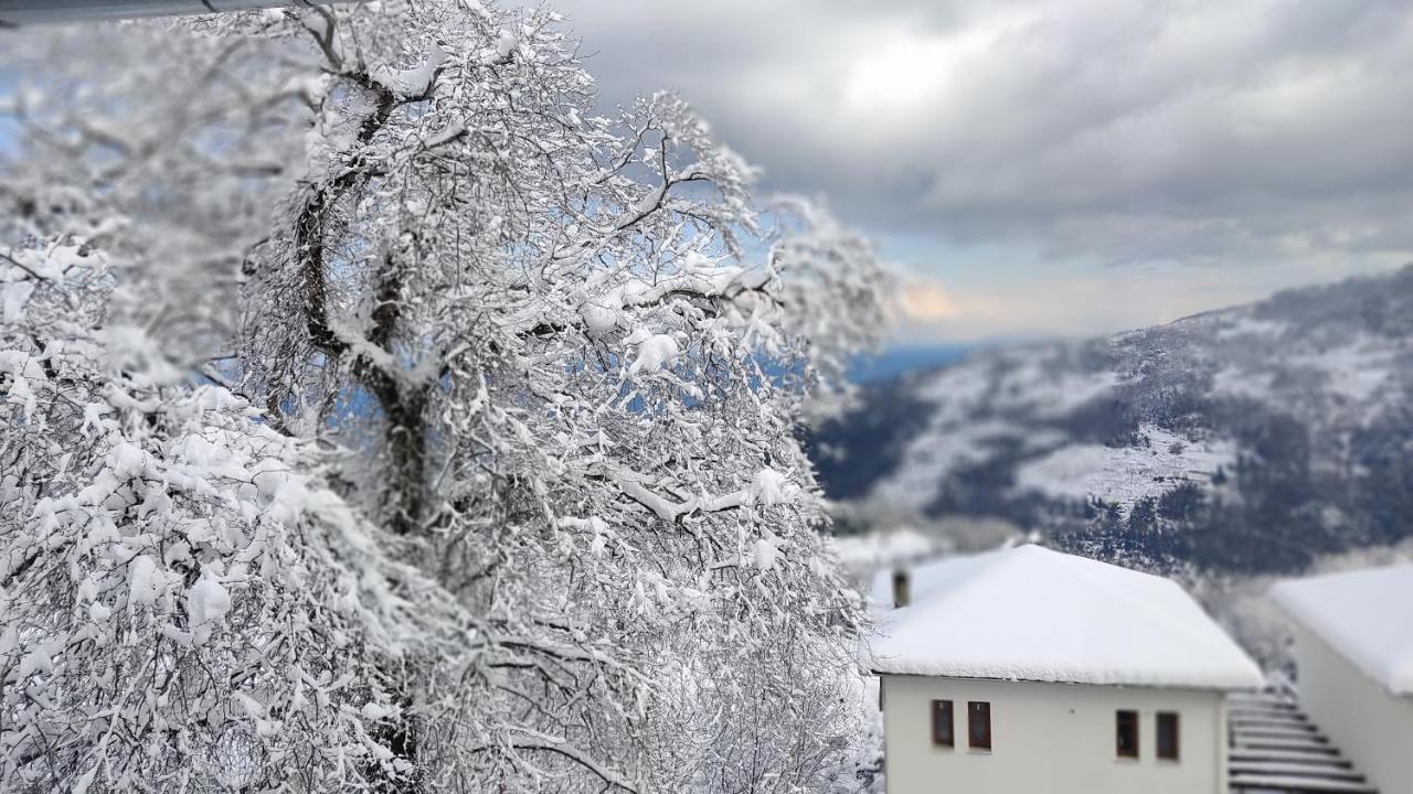 Φιλυρέα - Ενοικιαζόμενα Δωμάτια Zagora Exteriör bild